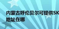 內蒙古呼倫貝爾可提供SKG按摩器維修服務地址在哪