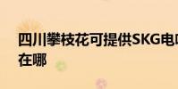 四川攀枝花可提供SKG電吹風維修服務地址在哪