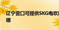 遼寧營口可提供SKG電吹風維修服務地址在哪