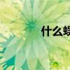 什么蜈蚣是用形容詞填充的？