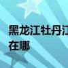 黑龍江牡丹江可提供紅心足浴盆維修服務地址在哪