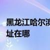 黑龍江哈爾濱可提供艾美特除濕機維修服務地址在哪