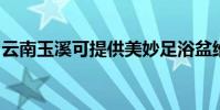 云南玉溪可提供美妙足浴盆維修服務地址在哪