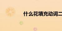 什么花填充動詞二年級?