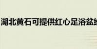 湖北黃石可提供紅心足浴盆維修服務地址在哪