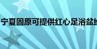 寧夏固原可提供紅心足浴盆維修服務地址在哪
