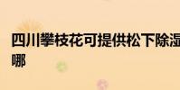 四川攀枝花可提供松下除濕機維修服務地址在哪