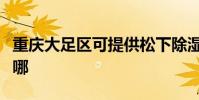 重慶大足區可提供松下除濕機維修服務地址在哪