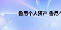 魯尼個人資產 魯尼個人資料