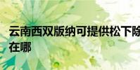 云南西雙版納可提供松下除濕機維修服務地址在哪
