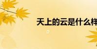 天上的云是什么樣子的?