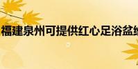 福建泉州可提供紅心足浴盆維修服務地址在哪