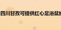 四川甘孜可提供紅心足浴盆維修服務地址在哪