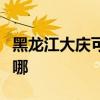 黑龍江大慶可提供宏碁投影機維修服務地址在哪