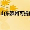 山東濱州可提供夏普投影機維修服務地址在哪