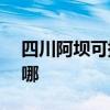 四川阿壩可提供NEC投影機維修服務地址在哪