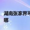 湖南張家界可提供松下投影機維修服務地址在哪