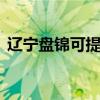 遼寧盤錦可提供LG投影機維修服務地址在哪