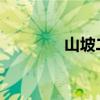山坡二年級的補充句是什么
