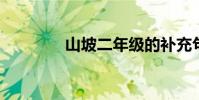 山坡二年級的補充句是什么