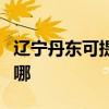 遼寧丹東可提供卡西歐投影機維修服務地址在哪