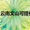云南文山可提供佳能投影機維修服務地址在哪