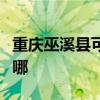 重慶巫溪縣可提供理光投影機維修服務地址在哪