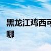 黑龍江雞西可提供紐曼投影機維修服務地址在哪