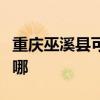重慶巫溪縣可提供佳能投影機維修服務地址在哪