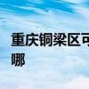重慶銅梁區可提供理光投影機維修服務地址在哪