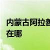 內蒙古阿拉善可提供麗訊投影機維修服務地址在哪