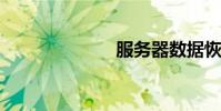 服務器數據恢復