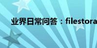 業界日常問答:filestorage是什么意思