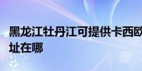 黑龍江牡丹江可提供卡西歐投影機維修服務地址在哪