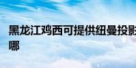 黑龍江雞西可提供紐曼投影機維修服務地址在哪