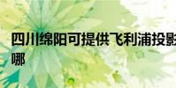 四川綿陽可提供飛利浦投影機維修服務地址在哪