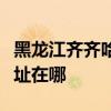 黑龍江齊齊哈爾可提供三菱投影機維修服務地址在哪