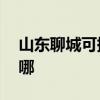 山東聊城可提供aigo投影機維修服務地址在哪