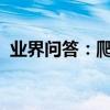 業界問答：爬山虎的特點爬山虎有什么特點