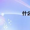 什么森林里充滿了動詞？