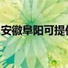 安徽阜陽可提供三菱投影機維修服務地址在哪