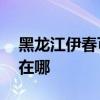 黑龍江伊春可提供aigo投影機維修服務地址在哪