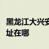 黑龍江大興安嶺可提供華碩投影機維修服務地址在哪
