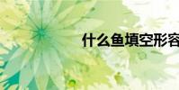 什么魚填空形容詞?