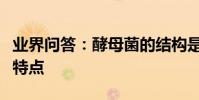 業界問答:酵母菌的結構是什么酵母菌的結構特點