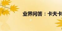 業界問答:卡夫卡的簡介