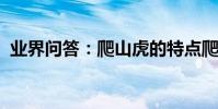業界問答:爬山虎的特點爬山虎有什么特點