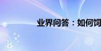 業界問答:如何飼養湖羊