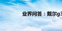 業界問答:戴爾g3多少寸