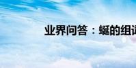 業界問答:蜒的組詞有哪些